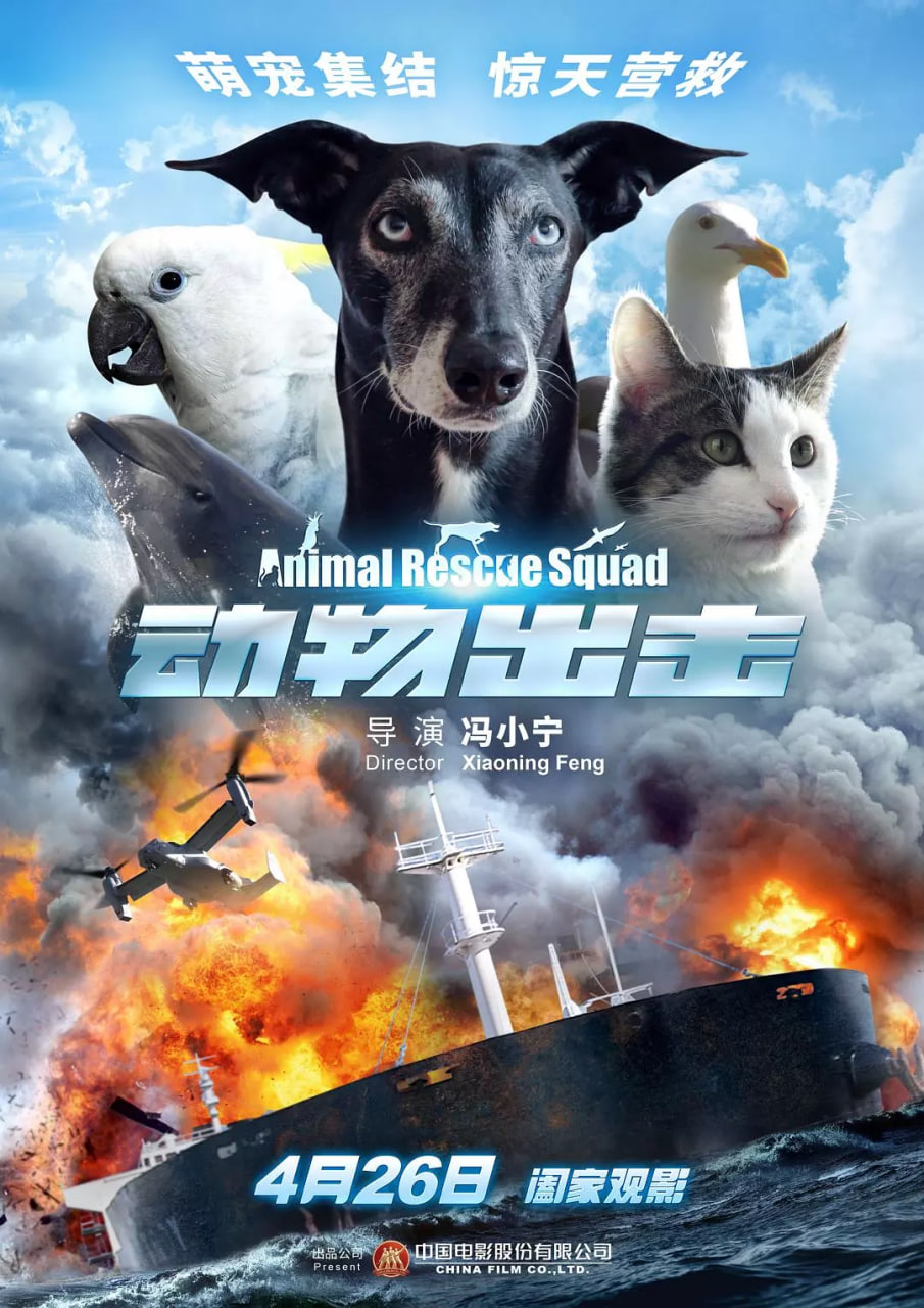 动物出击 动物出击