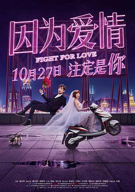 因为爱情 因为爱情