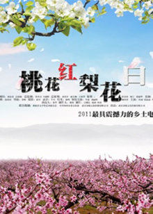 桃花红梨花白 桃花红梨花白