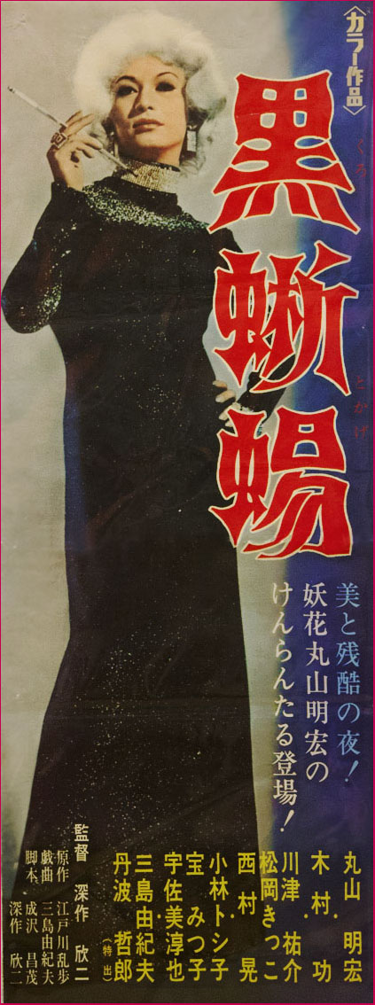 黑蜥蜴 黑蜥蜴