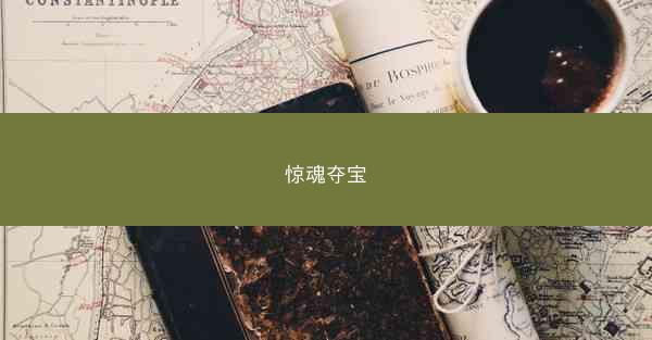 惊魂夺宝