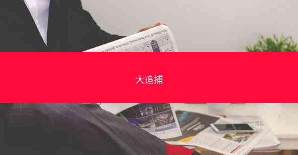 大追捕