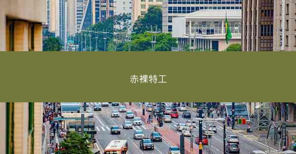 赤裸特工