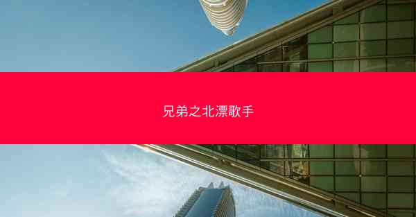 兄弟之北漂歌手