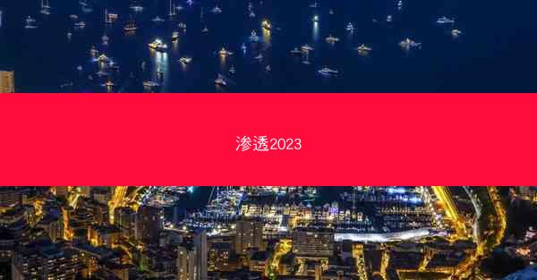 渗透2023