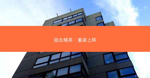 狙击精英：重装上阵